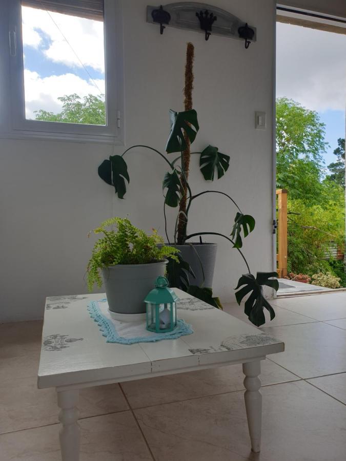 Loft Vintage Apartment Tandil Ngoại thất bức ảnh